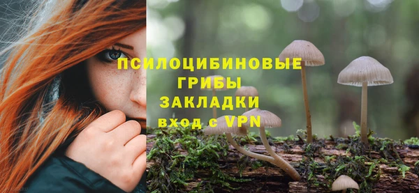 ALPHA-PVP Богданович