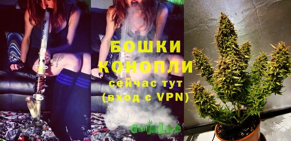 дмт Богородск