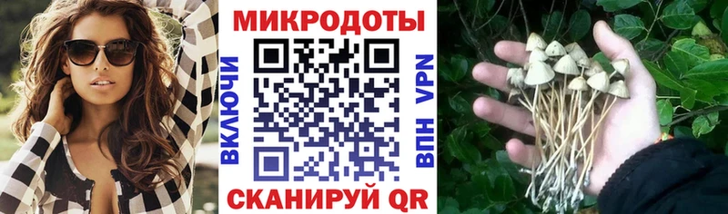 Галлюциногенные грибы MAGIC MUSHROOMS  Крым 